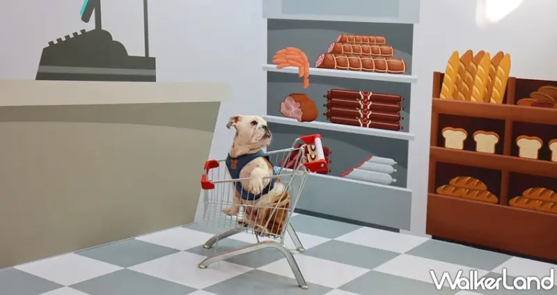 狗狗GoGoGo華山機場 狗狗主場 / WalkerLand窩客島提供 未經許可，不得轉載