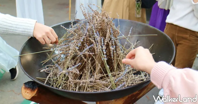 薰衣草森林 薰衣草節 / WalkerLand窩客島提供 未經許可，不得轉載