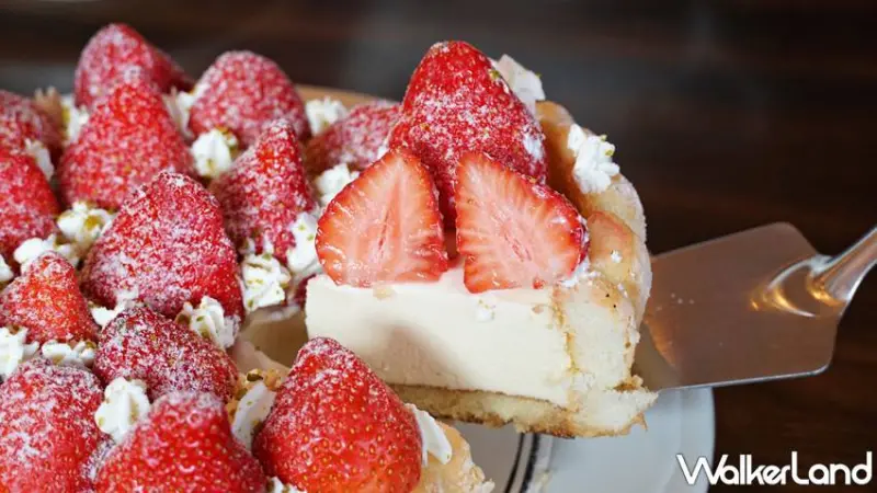 PAUL / WalkerLand窩客島提供 未經許可，不得轉載