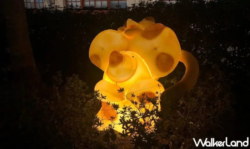 新竹 / WalkerLand窩客島提供 未經許可，不得轉載