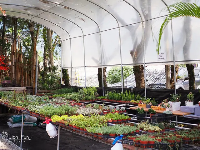 多肉秘境 /美食窩客 Lion Fun ❤ 提供 未經許可，不得轉載