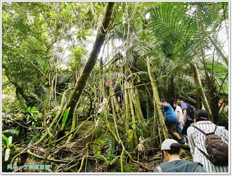 拉來梅園 /美食窩客 阿一一之食意旅遊 提供 未經許可，不得轉載