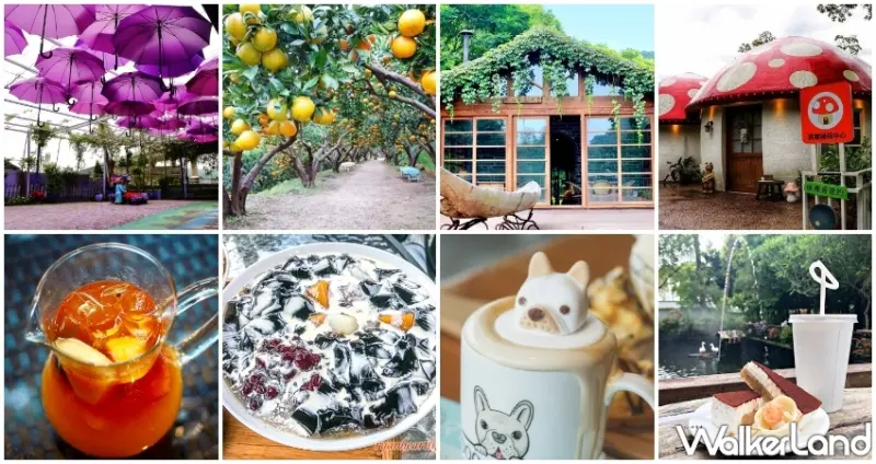 網美集體出動苗栗!苗栗人一定知道的「17間苗栗景觀餐廳」一次大公開,網美們快揪團衝苗栗拍美照、當仙女。