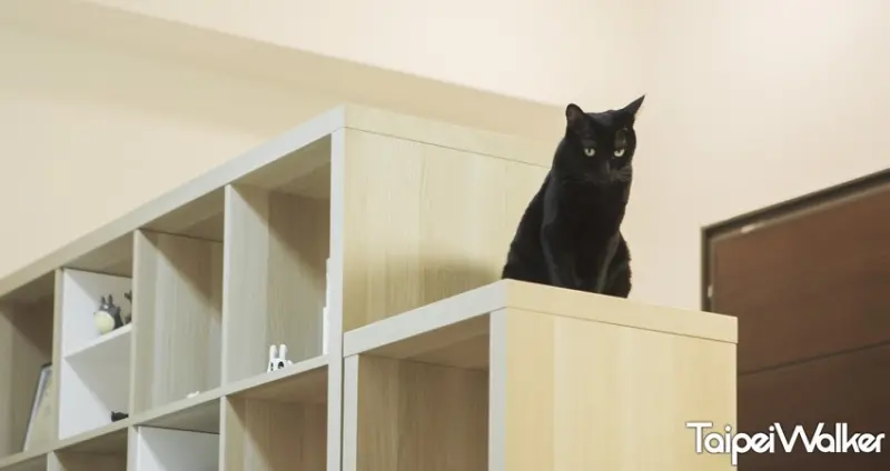 黃阿瑪的後宮生活 / WalkerLand窩客島提供 未經許可，不得轉載