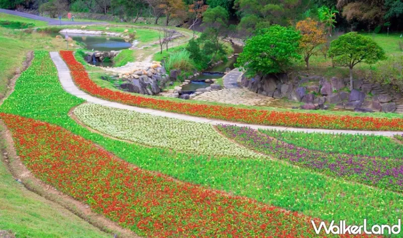 大溝溪生態治水園區 / WalkerLand窩客島整理提供 未經許可，不得轉載