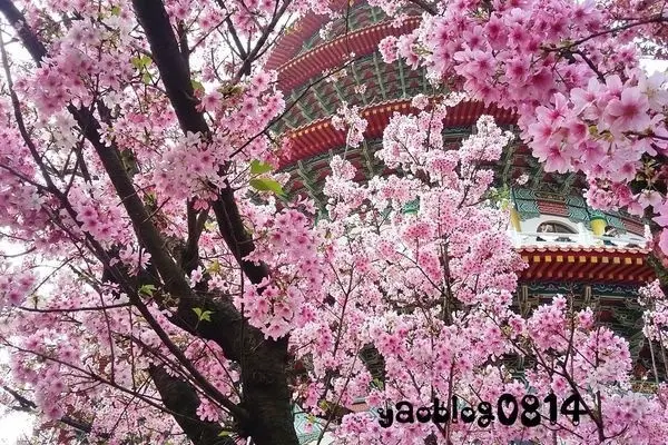 旅遊部落客 阿姚。抒生活 曾在「無極天元宮」