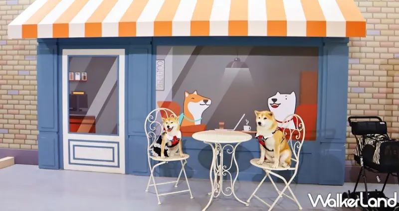 狗狗GoGoGo華山機場 狗狗主場 / WalkerLand窩客島提供 未經許可，不得轉載