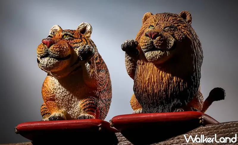 Animal Life / WalkerLand窩客島提供 未經許可，不得轉載