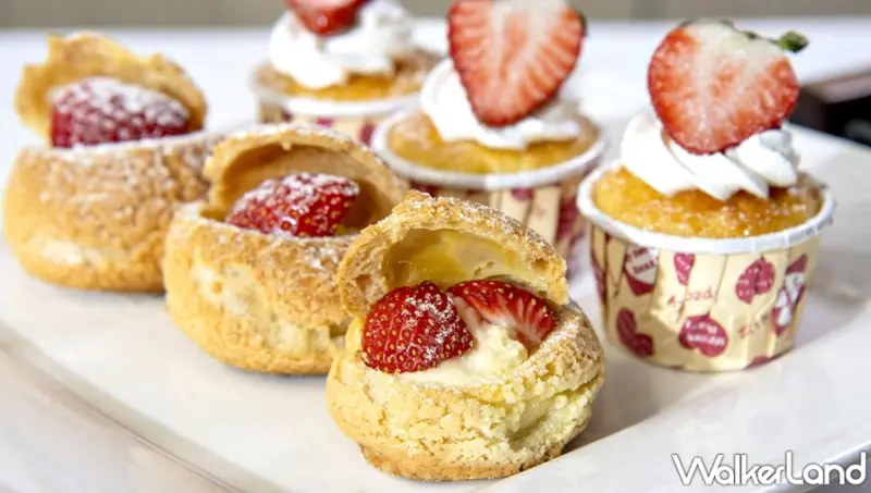 台北凱撒Checkers