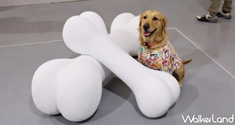 狗狗GoGoGo華山機場 狗狗主場 / WalkerLand窩客島提供 未經許可，不得轉載