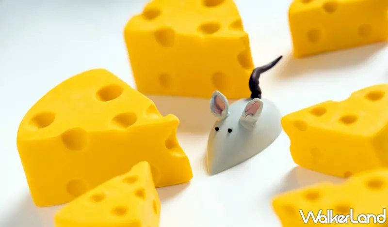 台北君悅Baguette禮品‧烘焙坊 / WalkerLand窩客島整理提供 未經許可，不得轉載