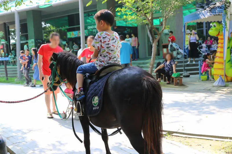 樹谷農場 /美食窩客 緹雅瑪美食旅遊趣 提供 未經許可，不得轉載