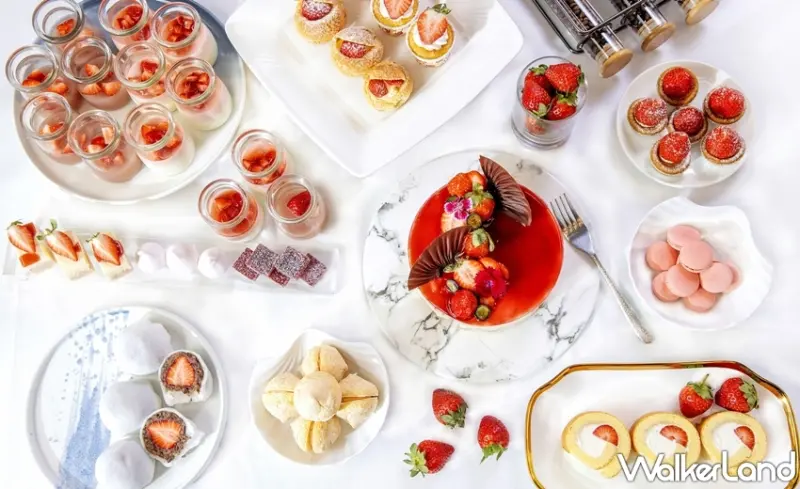 台北凱撒Checkers