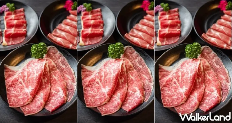 千葉火鍋 / WalkerLand窩客島整理提供 未經許可，不得轉載