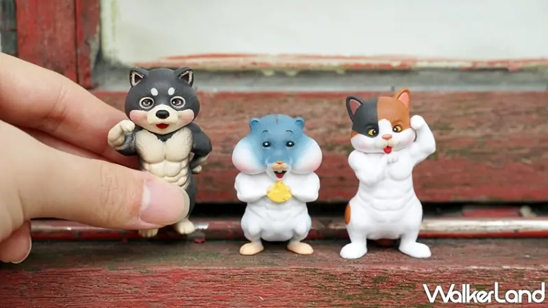 最強筋肉傳說-超進化體態 / WalkerLand窩客島提供 未經許可，不得轉載