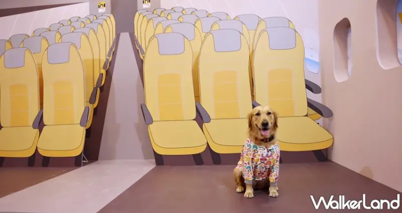 狗狗GoGoGo華山機場 狗狗主場 / WalkerLand窩客島提供 未經許可，不得轉載