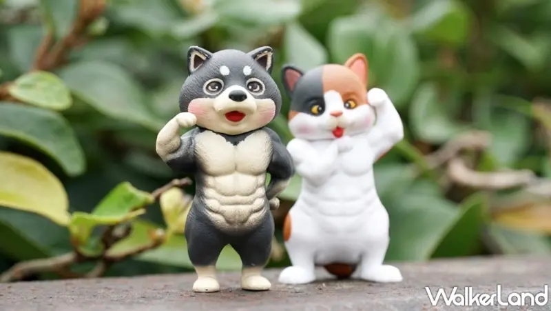 最強筋肉傳說-超進化體態 / WalkerLand窩客島提供 未經許可，不得轉載