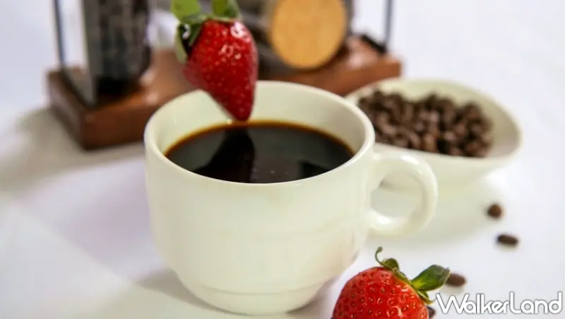 台北凱撒Checkers