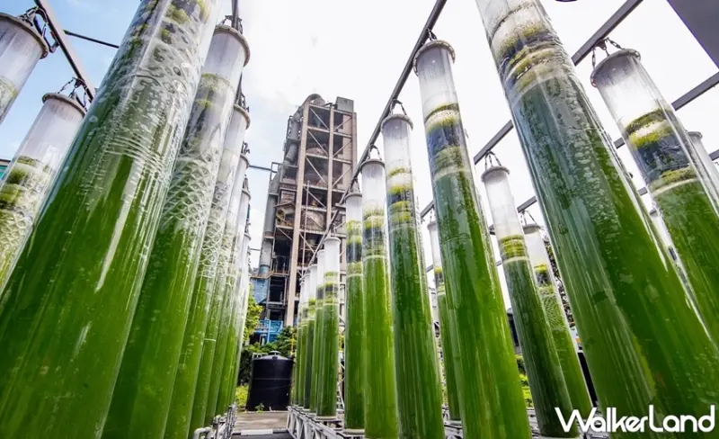 / WalkerLand窩客島整理提供 未經許可，不得轉載