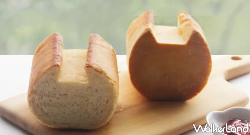 貓咪吐司 / WalkerLand窩客島提供 未經許可，不得轉載