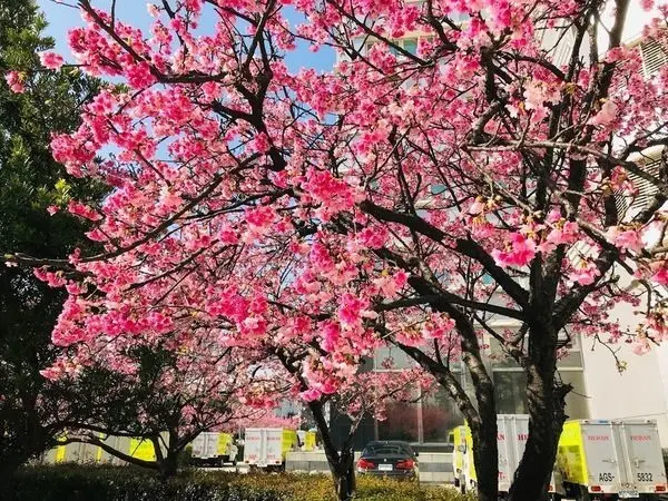 窩客 大海愛上藍天 提供 未經許可，不得轉載