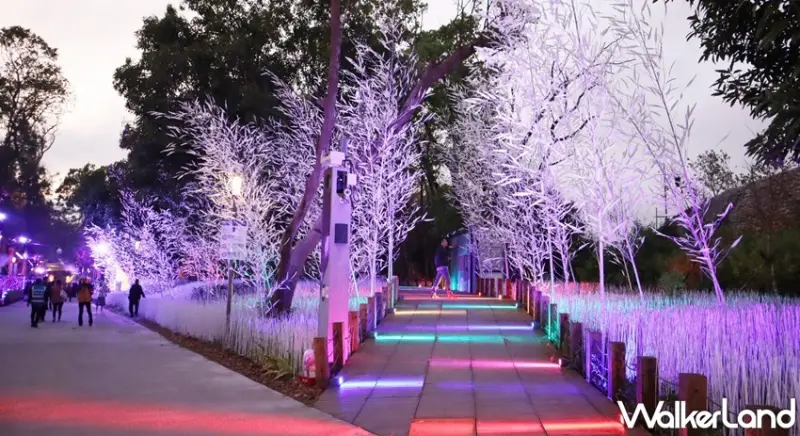 2020台灣燈會 / WalkerLand窩客島提供 未經許可，不得轉載