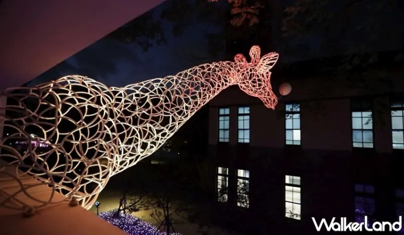 起司鼠來寶小提燈 / WalkerLand窩客島提供 未經許可，不得轉載