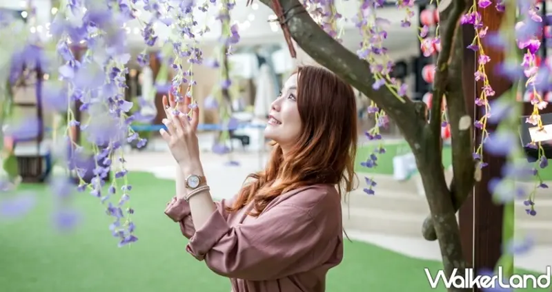 林口三井OUTLET「紫藤花」 / WalkerLand窩客島整理提供 未經許可不可轉載