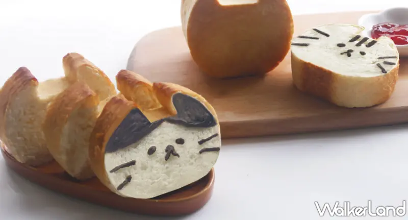 貓咪吐司 / WalkerLand窩客島提供 未經許可，不得轉載