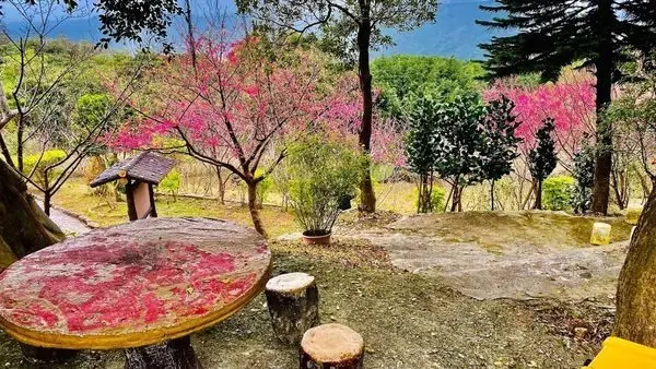 窩客 大海愛上藍天 提供 未經許可，不得轉載