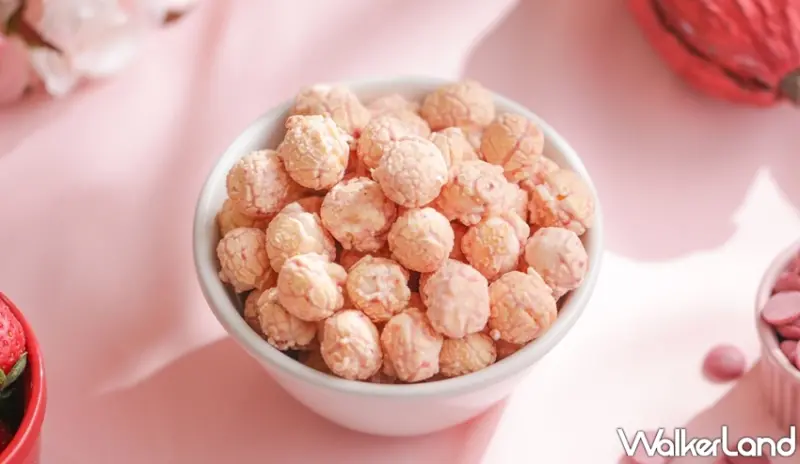 星球工坊 / WalkerLand窩客島提供 未經許可，不得轉載