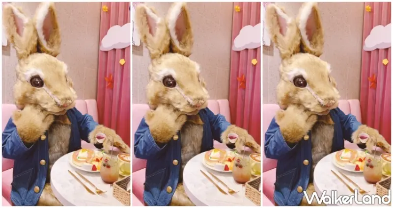 Café del SOL / WalkerLand窩客島提供 未經許可，不得轉載