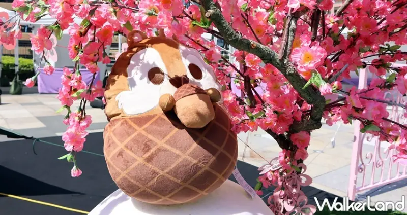 HOLA 迪士尼櫻花季系列 / WalkerLand窩客島提供 未經許可，不得轉載