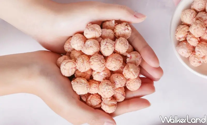 星球工坊 / WalkerLand窩客島提供 未經許可，不得轉載