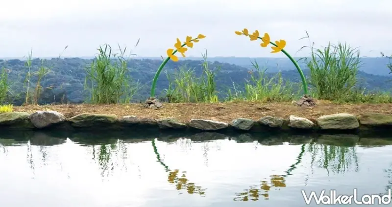 桃園龍潭「2020戀戀魯冰花」 / WalkerLand窩客島整理提供 未經許可不可轉載