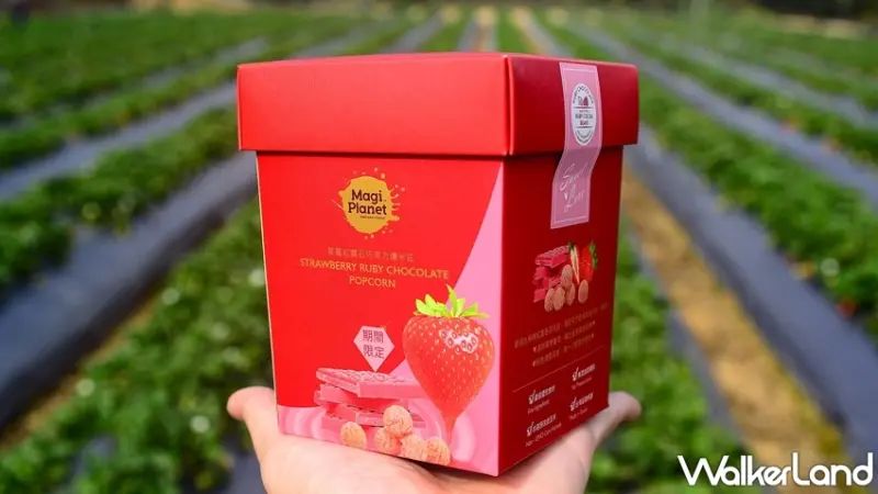 星球工坊 / WalkerLand窩客島提供 未經許可，不得轉載