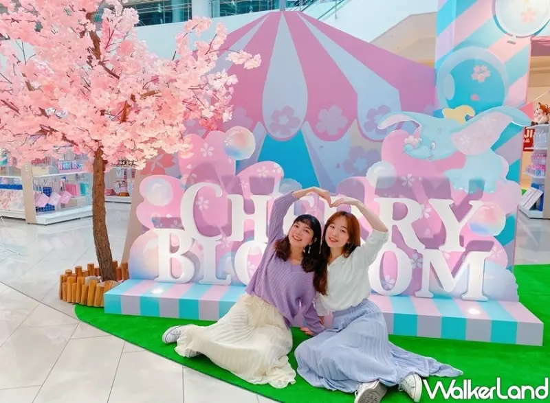 迪士尼櫻花季快閃店 / WalkerLand窩客島整理提供 未經許可不可轉載