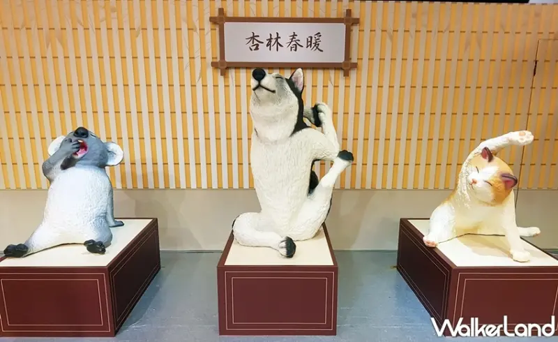 朝隈俊男 / WalkerLand窩客島提供 未經許可，不得轉載