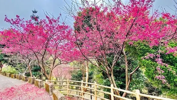 窩客 大海愛上藍天 提供 未經許可，不得轉載