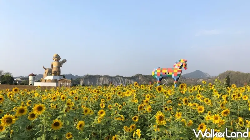 走馬瀨農場 / WalkerLand窩客島提供 未經許可，不得轉載