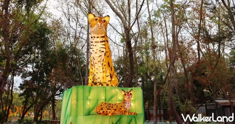 2020台灣燈會 / WalkerLand窩客島提供 未經許可，不得轉載