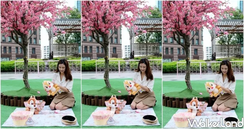 迪士尼櫻花季快閃店 / WalkerLand窩客島整理提供 未經許可不可轉載