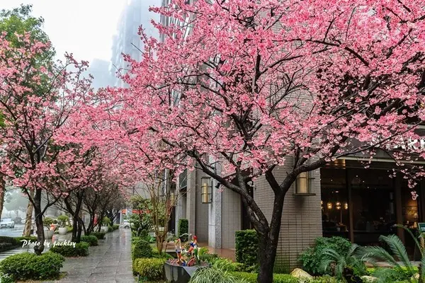 窩客 jacklsy 提供 未經許可，不得轉載