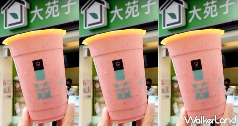 大苑子 / WalkerLand窩客島整理提供 未經許可，不得轉載