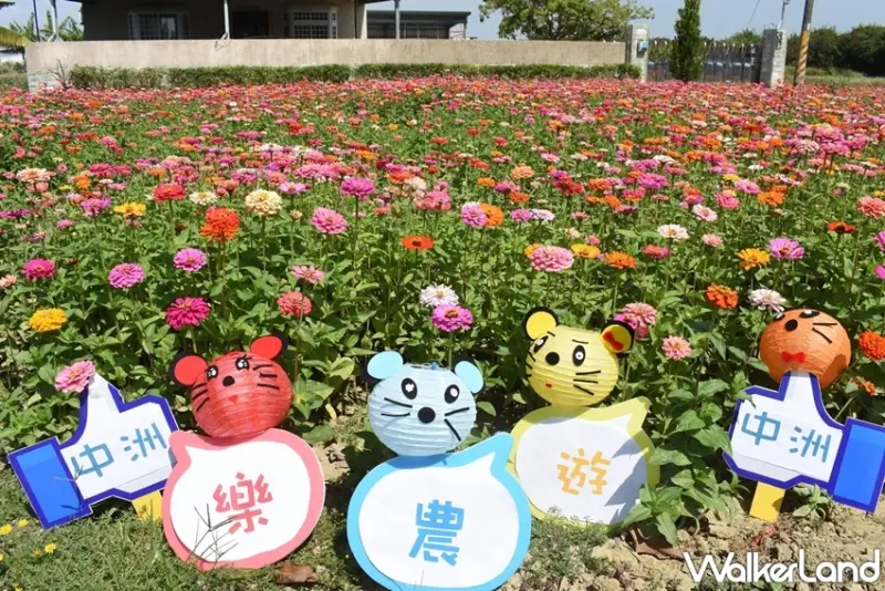 仁德中洲樂農遊 / WalkerLand窩客島提供 未經許可，不得轉載