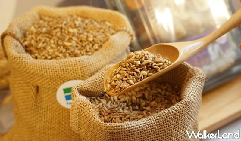 全家便利商店 / WalkerLand窩客島提供 未經許可，不得轉載