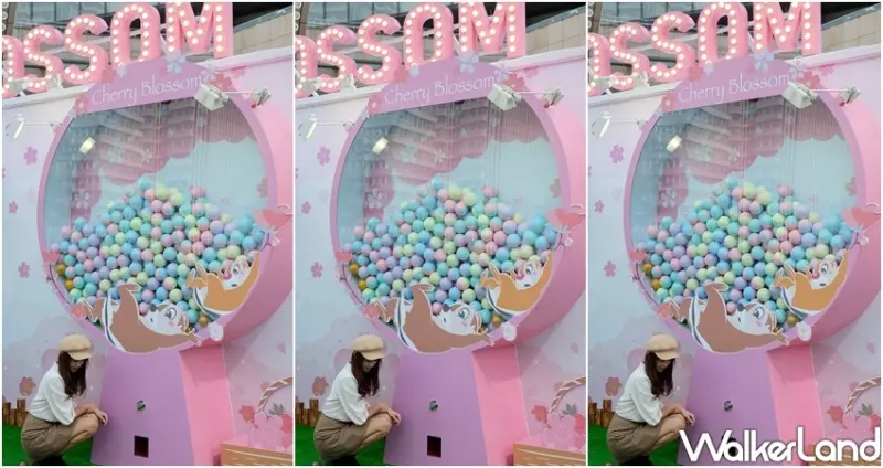 迪士尼櫻花季快閃店 / WalkerLand窩客島整理提供 未經許可不可轉載