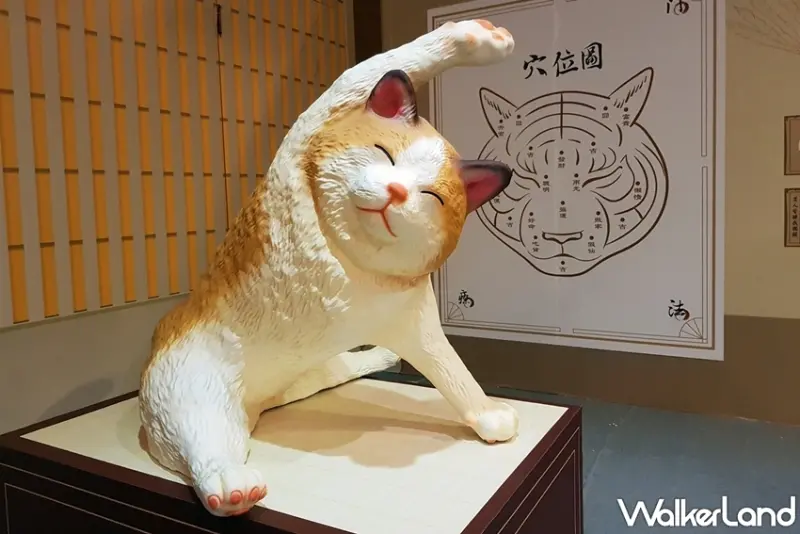 朝隈俊男 / WalkerLand窩客島提供 未經許可，不得轉載