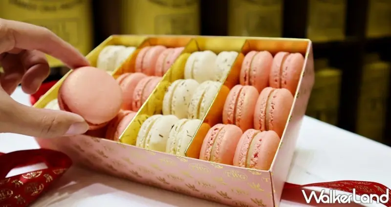 TWG Tea / WalkerLand窩客島提供 未經許可，不得轉載