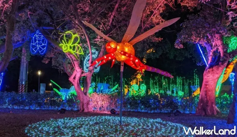 2020台灣燈會 動物狂歡嘉年華 / WalkerLand窩客島整理提供 未經許可，不得轉載